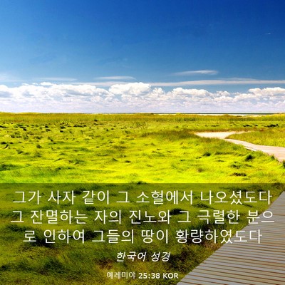 Picture 03 - 예레미야 25:38 KOR - 그가 사자 같이 그 소혈에서 - Bible Verse Picture