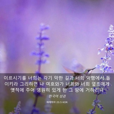 Picture 03 - 예레미야 25:5 KOR - 이르시기를 너희는 각기 악한 길과 - Bible Verse Picture