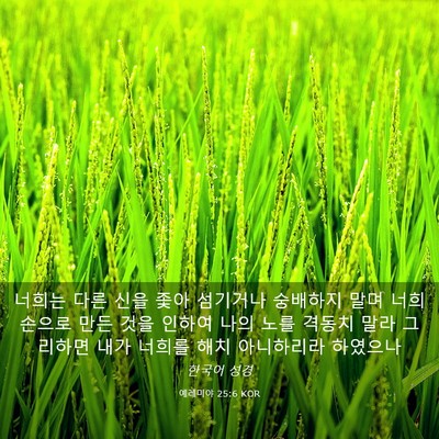 Picture 03 - 예레미야 25:6 KOR - 너희는 다른 신을 좇아 섬기거나 - Bible Verse Picture