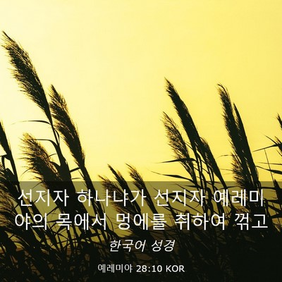 Picture 03 - 예레미야 28:10 KOR - 선지자 하나냐가 선지자 예레미야의 - Bible Verse Picture