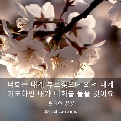 Picture 03 - 예레미야 29:12 KOR - 너희는 내게 부르짖으며 와서 내게 - Bible Verse Picture