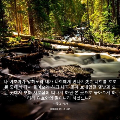Picture 03 - 예레미야 29:14 KOR - 나 여호와가 말하노라 내가 너희에게 - Bible Verse Picture