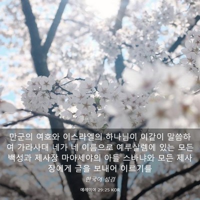 Picture 03 - 예레미야 29:25 KOR - 만군의 여호와 이스라엘의 하나님이 - Bible Verse Picture
