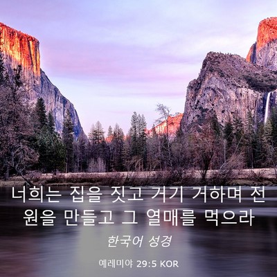 Picture 03 - 예레미야 29:5 KOR - 너희는 집을 짓고 거기 거하며 - Bible Verse Picture