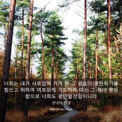 Picture 03 - 예레미야 29:7 KOR - 너희는 내가 사로잡혀 가게 한 그 - Bible Verse Picture