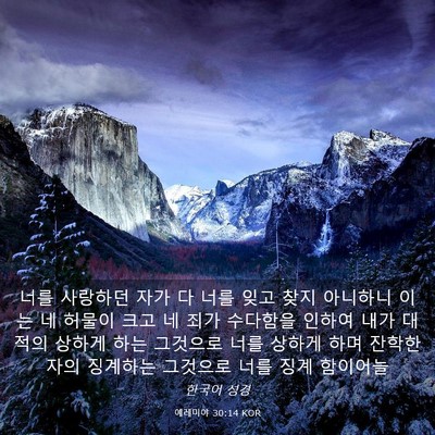 Picture 03 - 예레미야 30:14 KOR - 너를 사랑하던 자가 다 너를 잊고 - Bible Verse Picture