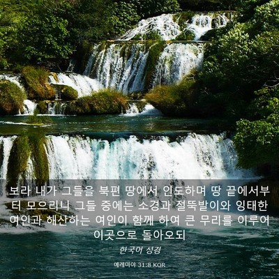 Picture 03 - 예레미야 31:8 KOR - 보라 내가 그들을 북편 땅에서 - Bible Verse Picture