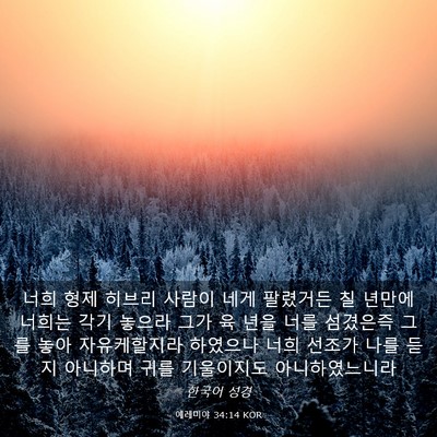 Picture 03 - 예레미야 34:14 KOR - 너희 형제 히브리 사람이 네게 - Bible Verse Picture