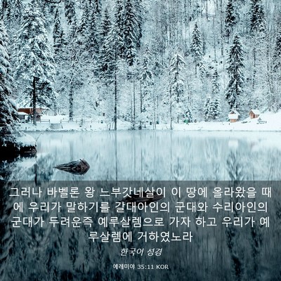 Picture 03 - 예레미야 35:11 KOR - 그러나 바벨론 왕 느부갓네살이 이 - Bible Verse Picture