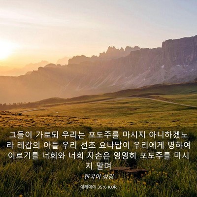 Picture 03 - 예레미야 35:6 KOR - 그들이 가로되 우리는 포도주를 - Bible Verse Picture