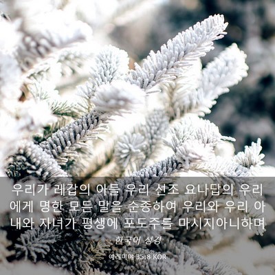 Picture 03 - 예레미야 35:8 KOR - 우리가 레갑의 아들 우리 선조 - Bible Verse Picture
