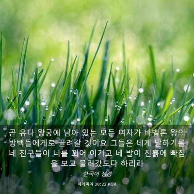 Picture 03 - 예레미야 38:22 KOR - 곧 유다 왕궁에 남아 있는 모든 - Bible Verse Picture