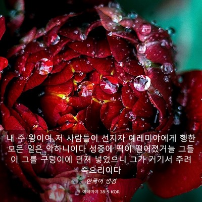 Picture 03 - 예레미야 38:9 KOR - 내 주 왕이여 저 사람들이 선지자 - Bible Verse Picture