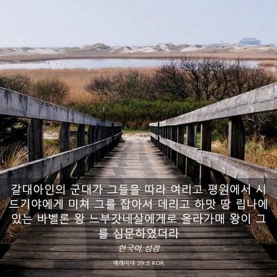 Picture 03 - 예레미야 39:5 KOR - 갈대아인의 군대가 그들을 따라 - Bible Verse Picture