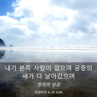 Picture 03 - 예레미야 4:25 KOR - 내가 본즉 사람이 없으며 공중의 - Bible Verse Picture