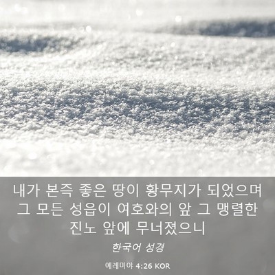 Picture 03 - 예레미야 4:26 KOR - 내가 본즉 좋은 땅이 황무지가 - Bible Verse Picture