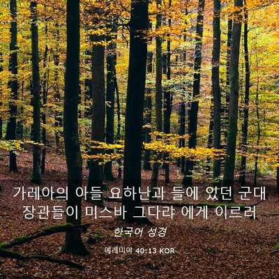 Picture 03 - 예레미야 40:13 KOR - 가레아의 아들 요하난과 들에 있던 - Bible Verse Picture