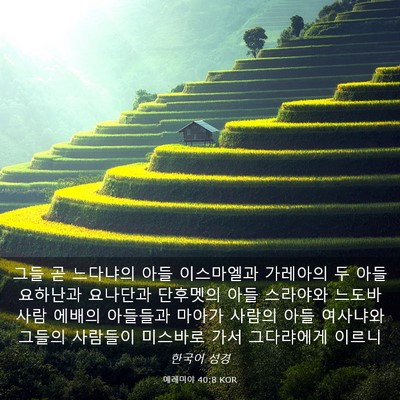 Picture 03 - 예레미야 40:8 KOR - 그들 곧 느다냐의 아들 이스마엘과 - Bible Verse Picture