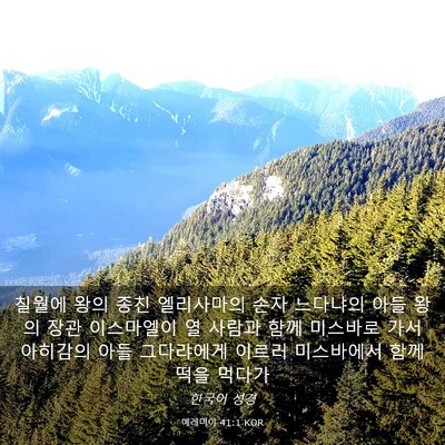 Picture 03 - 예레미야 41:1 KOR - 칠월에 왕의 종친 엘리사마의 손자 - Bible Verse Picture