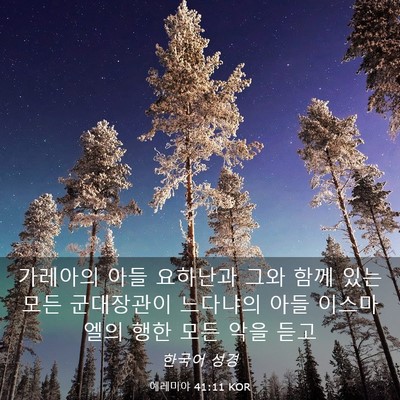 Picture 03 - 예레미야 41:11 KOR - 가레아의 아들 요하난과 그와 함께 - Bible Verse Picture