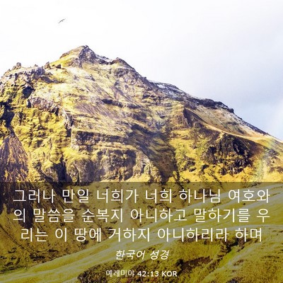Picture 03 - 예레미야 42:13 KOR - 그러나 만일 너희가 너희 하나님 - Bible Verse Picture
