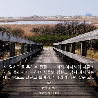 Picture 03 - 예레미야 42:14 KOR - 또 말하기를 우리는 전쟁도 보이지 - Bible Verse Picture