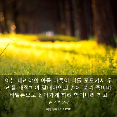 Picture 03 - 예레미야 43:3 KOR - 이는 네리야의 아들 바룩이 너를 - Bible Verse Picture