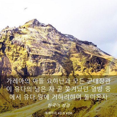 Picture 03 - 예레미야 43:5 KOR - 가레아의 아들 요하난과 모든 - Bible Verse Picture