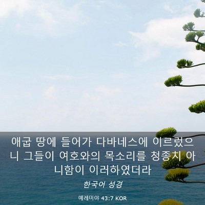 Picture 03 - 예레미야 43:7 KOR - 애굽 땅에 들어가 다바네스에 - Bible Verse Picture