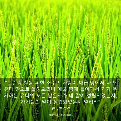 Picture 03 - 예레미야 44:28 KOR - 