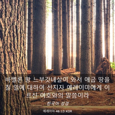 Picture 03 - 예레미야 46:13 KOR - 바벨론 왕 느부갓네살이 와서 애굽 - Bible Verse Picture