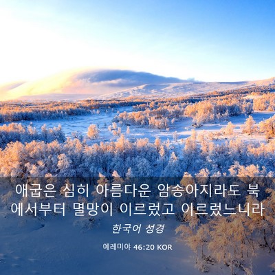 Picture 03 - 예레미야 46:20 KOR - 애굽은 심히 아름다운 암송아지라도 - Bible Verse Picture
