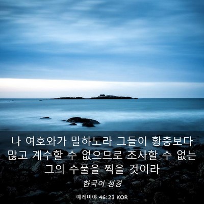 Picture 03 - 예레미야 46:23 KOR - 나 여호와가 말하노라 그들이 - Bible Verse Picture