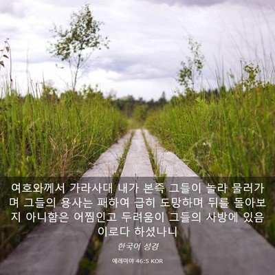 Picture 03 - 예레미야 46:5 KOR - 여호와께서 가라사대 내가 본즉 - Bible Verse Picture