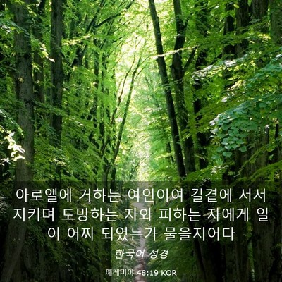 Picture 03 - 예레미야 48:19 KOR - 아로엘에 거하는 여인이여 길곁에 - Bible Verse Picture