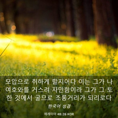 Picture 03 - 예레미야 48:26 KOR - 모압으로 취하게 할지어다 이는 그가 - Bible Verse Picture