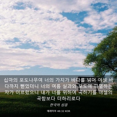 Picture 03 - 예레미야 48:32 KOR - 십마의 포도나무여 너의 가지가 - Bible Verse Picture