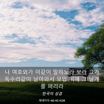 Picture 03 - 예레미야 48:40 KOR - 나 여호와가 이같이 말하노라 보라 - Bible Verse Picture