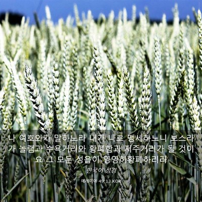 Picture 03 - 예레미야 49:13 KOR - 나 여호와가 말하노라 내가 나로 - Bible Verse Picture