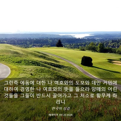 Picture 03 - 예레미야 49:20 KOR - 그런즉 에돔에 대한 나 여호와의 - Bible Verse Picture