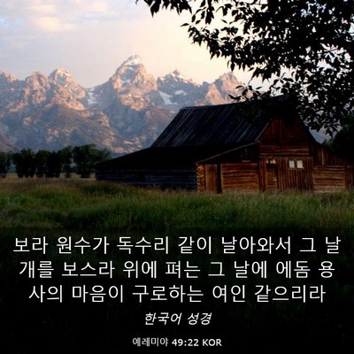 Picture 03 - 예레미야 49:22 KOR - 보라 원수가 독수리 같이 날아와서 - Bible Verse Picture