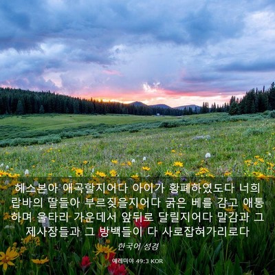 Picture 03 - 예레미야 49:3 KOR - 헤스본아 애곡할지어다 아이가 - Bible Verse Picture