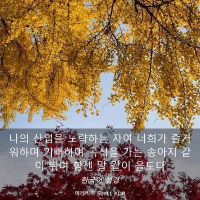 Picture 03 - 예레미야 50:11 KOR - 나의 산업을 노략하는 자여 너희가 - Bible Verse Picture