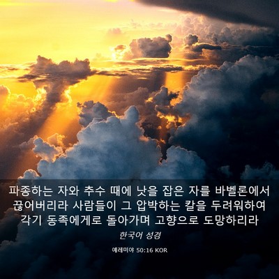 Picture 03 - 예레미야 50:16 KOR - 파종하는 자와 추수 때에 낫을 잡은 - Bible Verse Picture