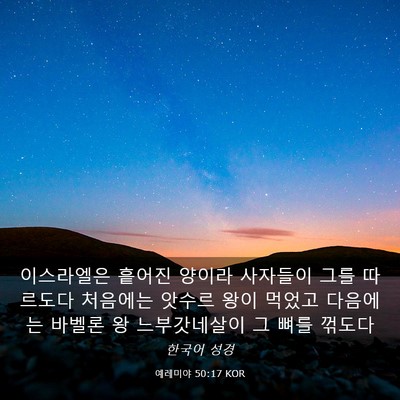 Picture 03 - 예레미야 50:17 KOR - 이스라엘은 흩어진 양이라 사자들이 - Bible Verse Picture