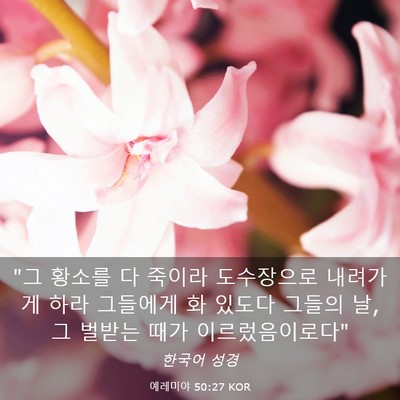 Picture 03 - 예레미야 50:27 KOR - 