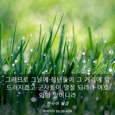 Picture 03 - 예레미야 50:30 KOR - 그러므로 그날에 청년들이 그 거리에 - Bible Verse Picture