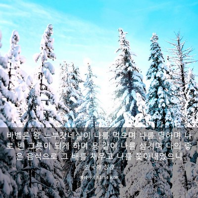 Picture 03 - 예레미야 51:34 KOR - 바벨론 왕 느부갓네살이 나를 먹으며 - Bible Verse Picture