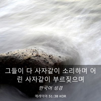 Picture 03 - 예레미야 51:38 KOR - 그들이 다 사자같이 소리하며 어린 - Bible Verse Picture