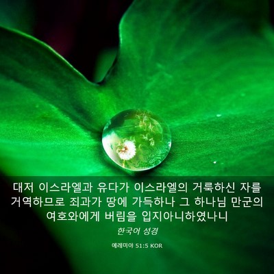 Picture 03 - 예레미야 51:5 KOR - 대저 이스라엘과 유다가 이스라엘의 - Bible Verse Picture